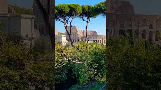 Roman Forum🇮🇹ao som de passarinhos italy travel rome romanforum roma [upl. by Acireit]