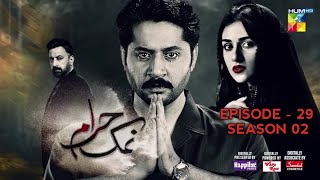 Namak Haram Episode 29 Season 02  Imran Ashraf  Sarah Khan  Drama Review [upl. by Hannazus]