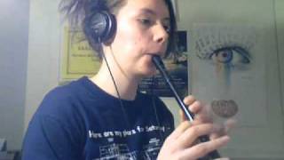 Traditional Irish Tin Whistle Songs [upl. by Gherardo]