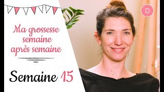 15ème semaine de grossesse – Les transports pendant la grossesse [upl. by Dlabihcra]