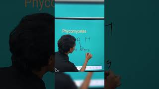 Phycomycetes example trick by Ranveer sir shorts [upl. by Drud]