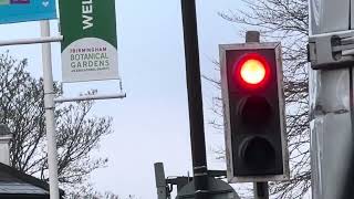 Beautiful Christmas Tree  Botanical Gardens Edgbaston amp Rare Monitron LED Traffic Lights [upl. by Renrag]