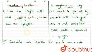 Distinguish between tracheids and vessels [upl. by Shantee]