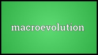 Macroevolution Meaning [upl. by Cavanagh]