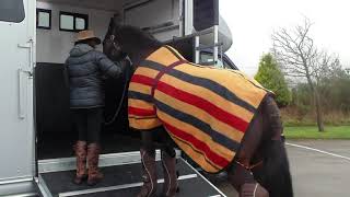 Why choose an EquiTrek horsebox [upl. by Nosloc]