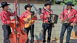 Paloma errante Con Sax y Tololoche nortenasconsax regionalmexicano losangeles california [upl. by Ecinaj150]