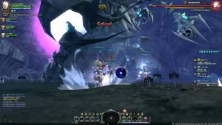 Dragon Nest  Warrior VS Boss Apocalypse Win  1080p HD [upl. by Mauve616]