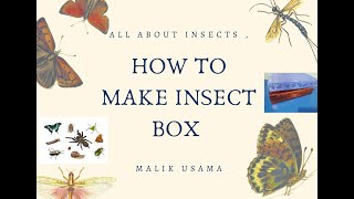 How To Make An Insect Box All about insects [upl. by Adkins760]