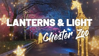 Lanterns and Light at Chester Zoo [upl. by Alyag]