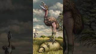 How terror birds were very dangerous 🤯 shorts facts [upl. by Annas]