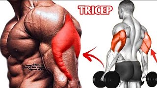 Bigger Tricep Warkout At Gym [upl. by Meenen192]