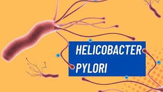 ¿Qué es el Helicobacter pylori [upl. by Barclay]