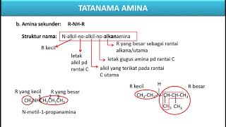 KIMIA KELAS XII MIPA TATANAMA HALOALKANA AMINA DAN MULTI GUGUS FUNGSI [upl. by Richella]