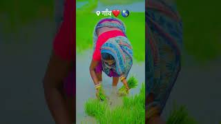 Ropaniya Khet Me Lagal Ba video bhojpuri New song Ankush Raja dehati देवघर bhojpuriya [upl. by Schuster]