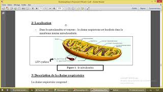 Chaine respiratoire mitochondriale [upl. by Cleodel]