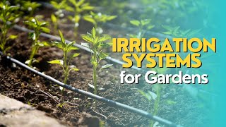 Irrigation Systems for Gardens [upl. by Noimad]