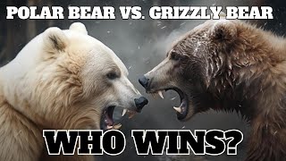 Polar Bear vs Grizzly Bear Who Wins [upl. by Talbot]