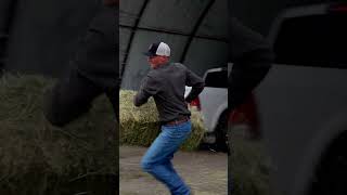 HOW FAST CAN YOU LOAD 5 SQUARE BALES farmlife rodeolife cowboy [upl. by Hittel]