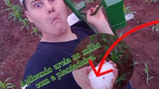 aplicação de ureia no milho 🌽🌽 com a própria plantadeira [upl. by Aina625]