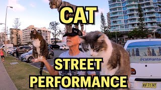 CAT STREET PERFORMER [upl. by Macintosh658]