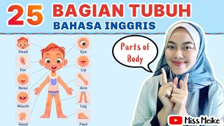 25 BAHASA INGGRIS ANGGOTA TUBUH LENGKAP DENGAN ARTINYA  BAHASA INGGRIS BAGIAN TUBUH [upl. by Eenert]