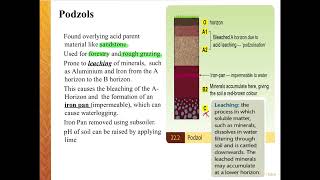 Podzol Soils [upl. by Yessydo]