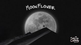 DIRTY TOY COMPANY  Moonflower OFFICIAL LYRIC VIDEO [upl. by Prasad]