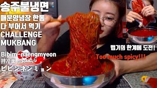 ENG송주불냉면 매운양념장 한통 다 부어먹기 도전 먹방 Challenge mukbang spicy Bibimnaengmyeon 拌冷面 ビビンネンミョン ناينغميون [upl. by Aronow]