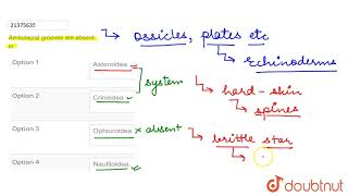Ambulacral grooves are absent in [upl. by Dowdell]