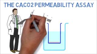 The CaCo2 Permeability Assay for Essential Oils Explained in Under 3 Minutes [upl. by Elaynad]