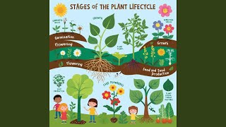 The Plant Life Cycle Song Special Version 1 [upl. by Kesley]