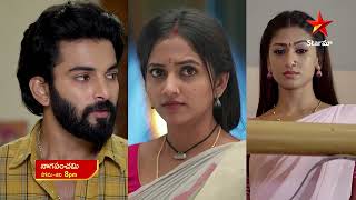 NagaPanchami  Promo  26th Jan 2024  Star Maa Serials  Mon Sat at 8 pm  Star Maa [upl. by Auka]