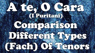 quotA Te O Caraquot I Puritani  A Direct Comparison Of Different Types Fach Of Tenors [upl. by Renaldo]