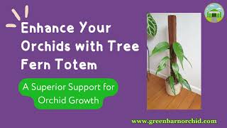 Tree Fern Totem Ideal Support for Thriving Plants [upl. by Gus]