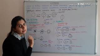 Cleavage and Types of Egg  CSIR NET  GATE  MSc  BSc  Life Science [upl. by Aihsemot]