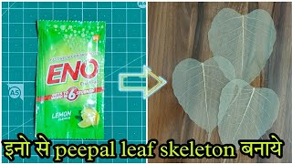 DIY Leaf Skeleton  पीपल के पत्तो की जाली बनाये  how to make peepal leaves skeleton Leaf Net [upl. by Brooke]