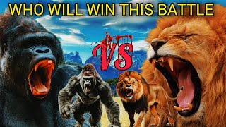 LION VS GORILLA  Who Will Win This Battle [upl. by Ailbert]