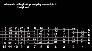 Niezbedna Teoria odc2  Gryf w praktyce [upl. by Annavoj]