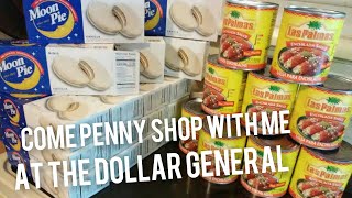 Shop with me in the Dollar General 1st in store video [upl. by Ahsimed]