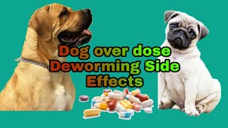 Overdose deworming side effects in dogspoppies HindiTSeries [upl. by Herwin768]