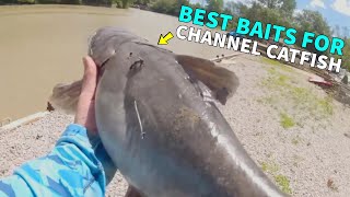 How To Catch Channel Catfish Best Baits [upl. by Mosley620]