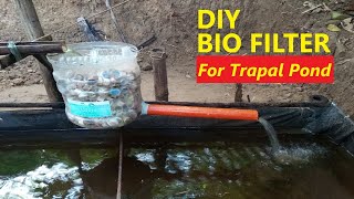 DIY Bio Filter For Trapal Pond  Backyard Tilapia Farming [upl. by Barri]