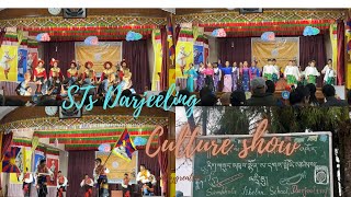 STS Darjeeling culture show 2024 darjeelingvlogs culturedance tibetandance [upl. by Elacim147]