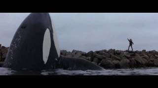 BEST ENDING EVER  FREE WILLY [upl. by Howarth]