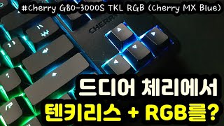 【키보드 리뷰 자막有】 체리 G803000S TKL RGBㅣ체리에서 텐키리스RGB키보드를ㅣ무보강 기계식 키보드ㅣ체리 MX 청축삼신청ㅣ피씨디렉트 [upl. by Dougie]