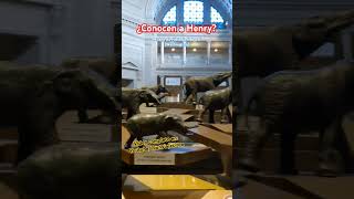 Museo de HISTORIA NATURAL de washington shorts [upl. by Haram]