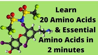 The 20 Amino Acids and Essential Amino Acids Mnemonic [upl. by Laurice278]