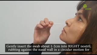 InnoScreen  Nasal Rapid Antigen Test [upl. by Eleik555]