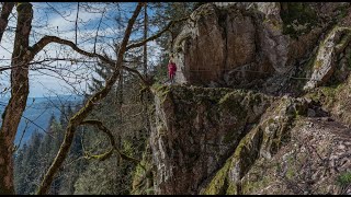 Massif des VOSGES  sentier des roches [upl. by Vivia]