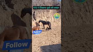 घोड़े ने कुते को अच्छा सबक सिखाया देखो दोस्तों ।। horse horsepower horselove dog doglife yt [upl. by Duffie]